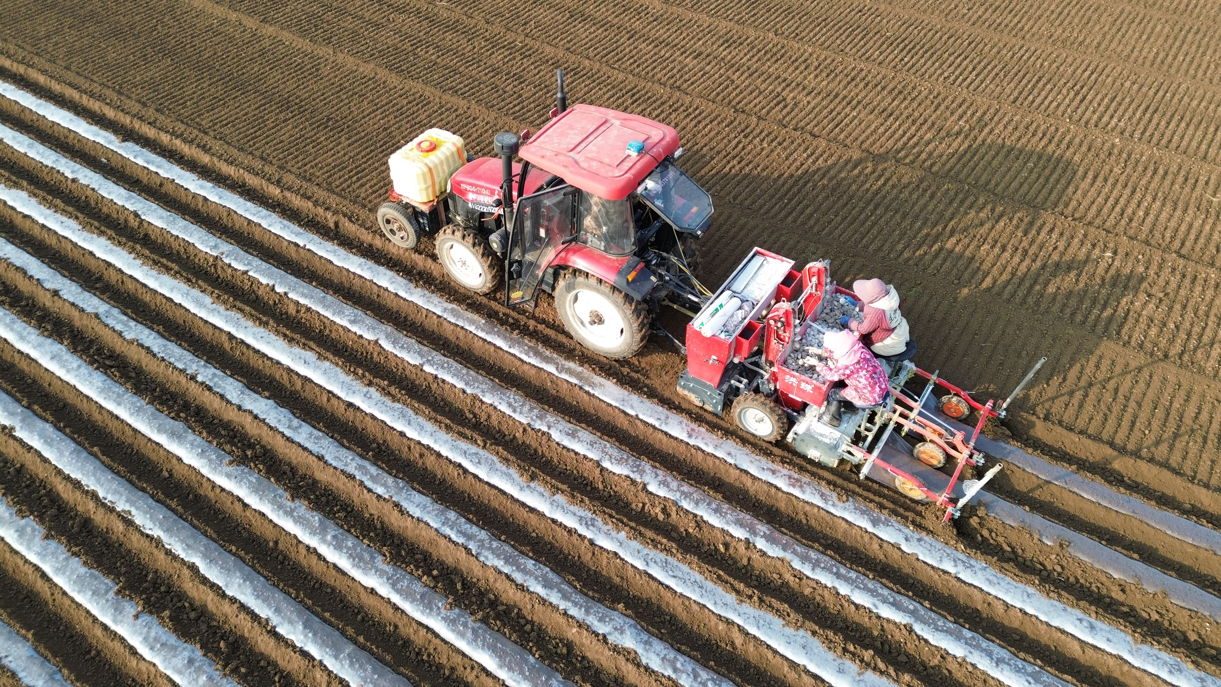 1月16日，鄢陵县马坊镇马坊集村村民操作机械设备播种马铃薯（无人机照片）。