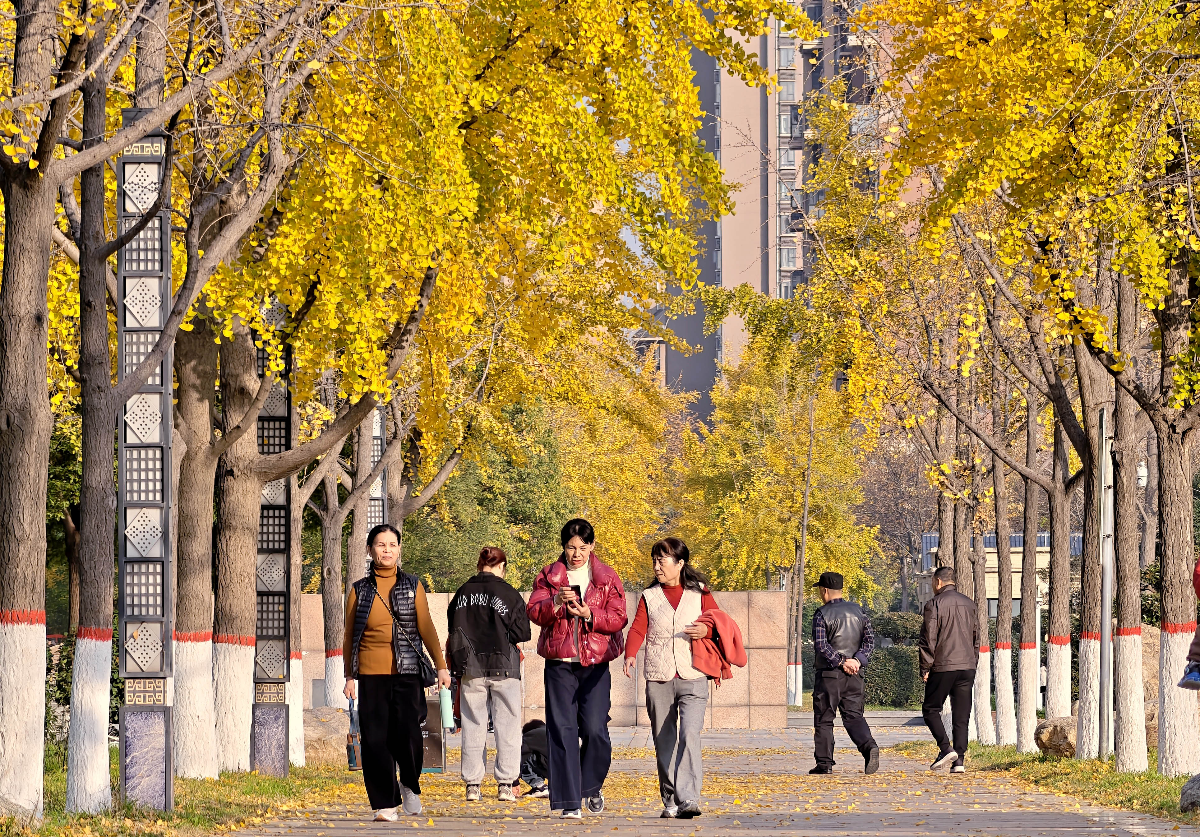 11月14日,市民在许都公园赏景游玩。 11月14日,市民在许都公园赏景游玩。