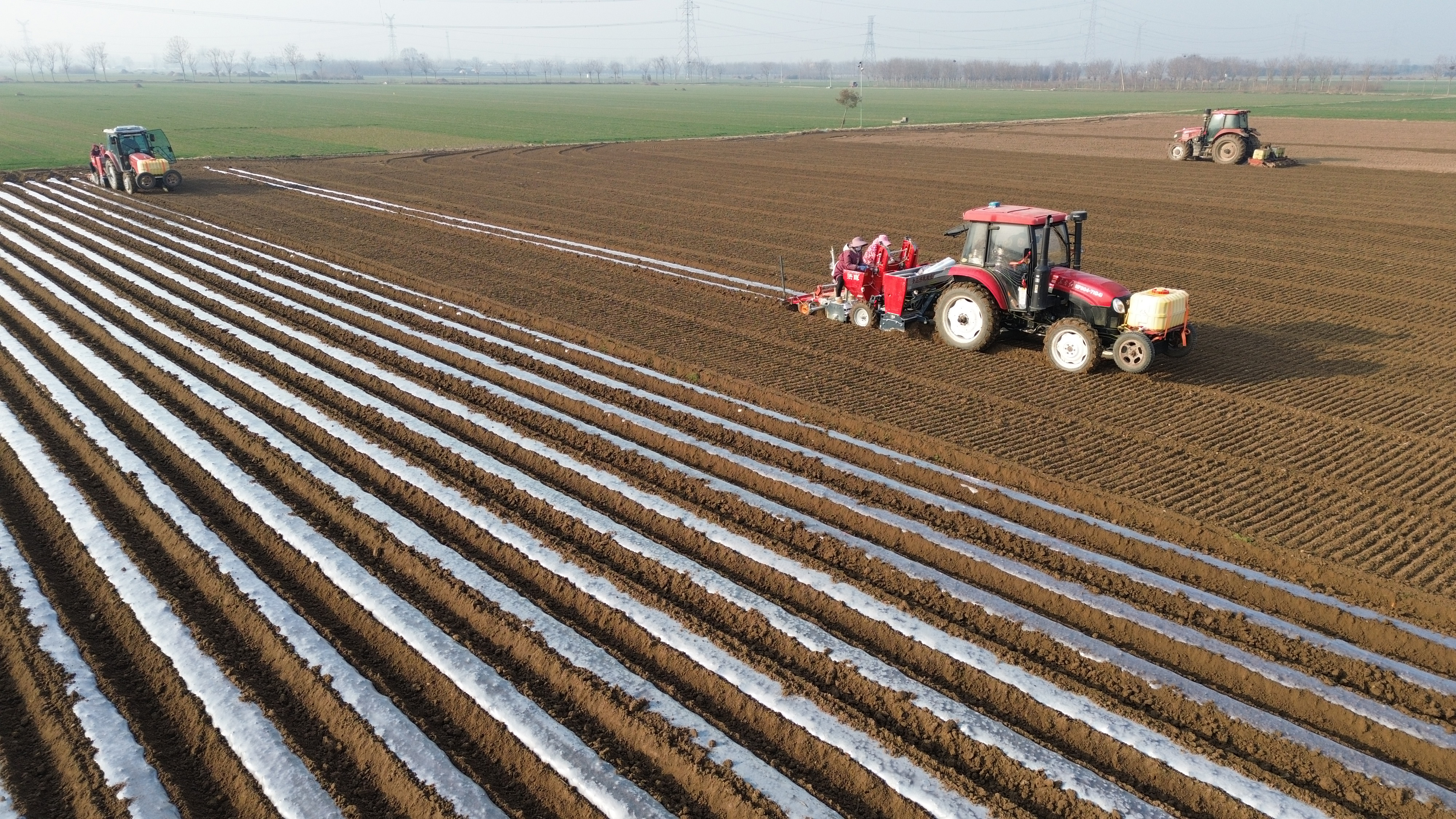 1月16日，鄢陵县马坊镇马坊集村村民操作机械设备播种马铃薯（无人机照片）。