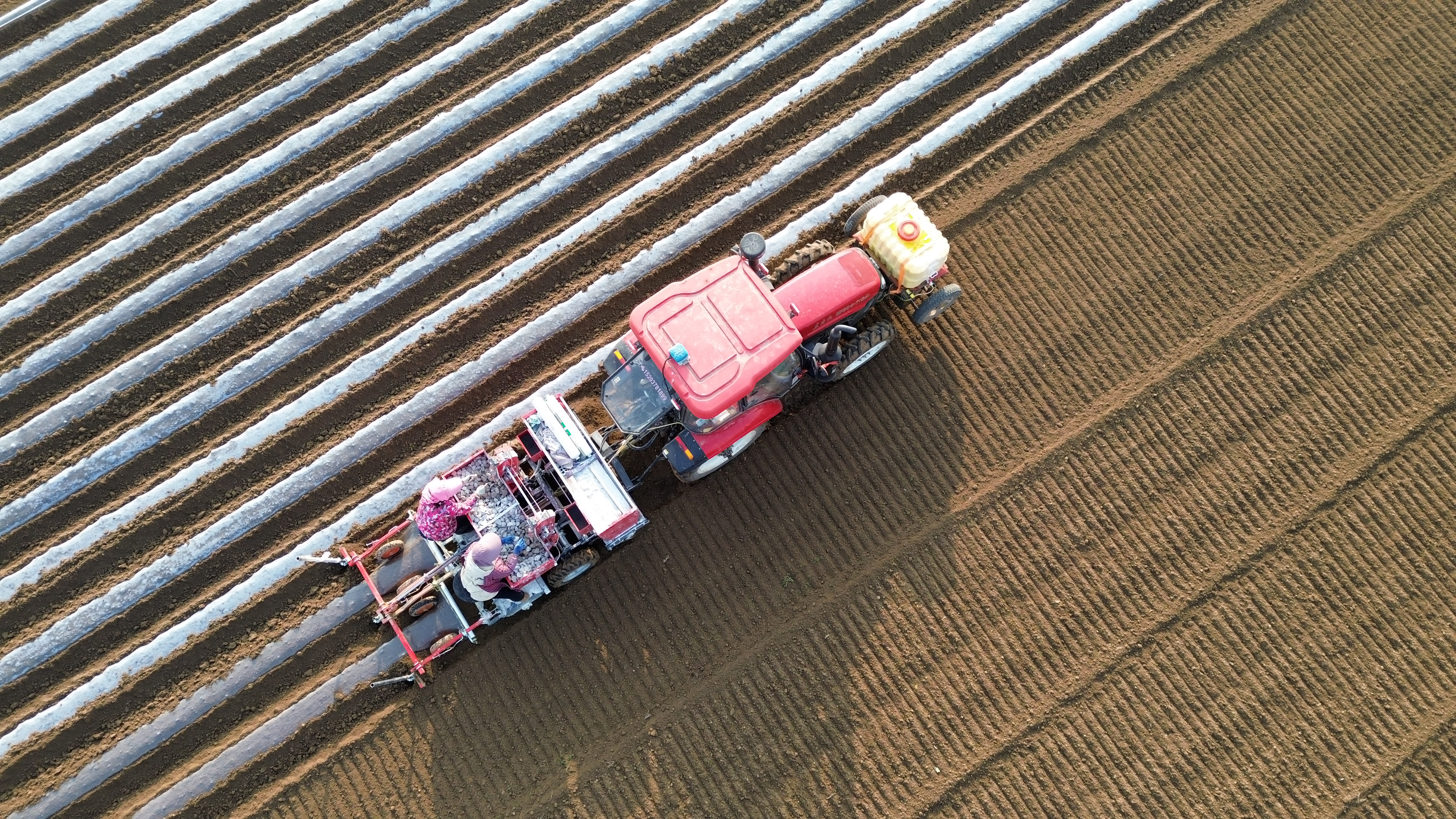 1月16日，鄢陵县马坊镇马坊集村村民操作机械设备播种马铃薯（无人机照片）。