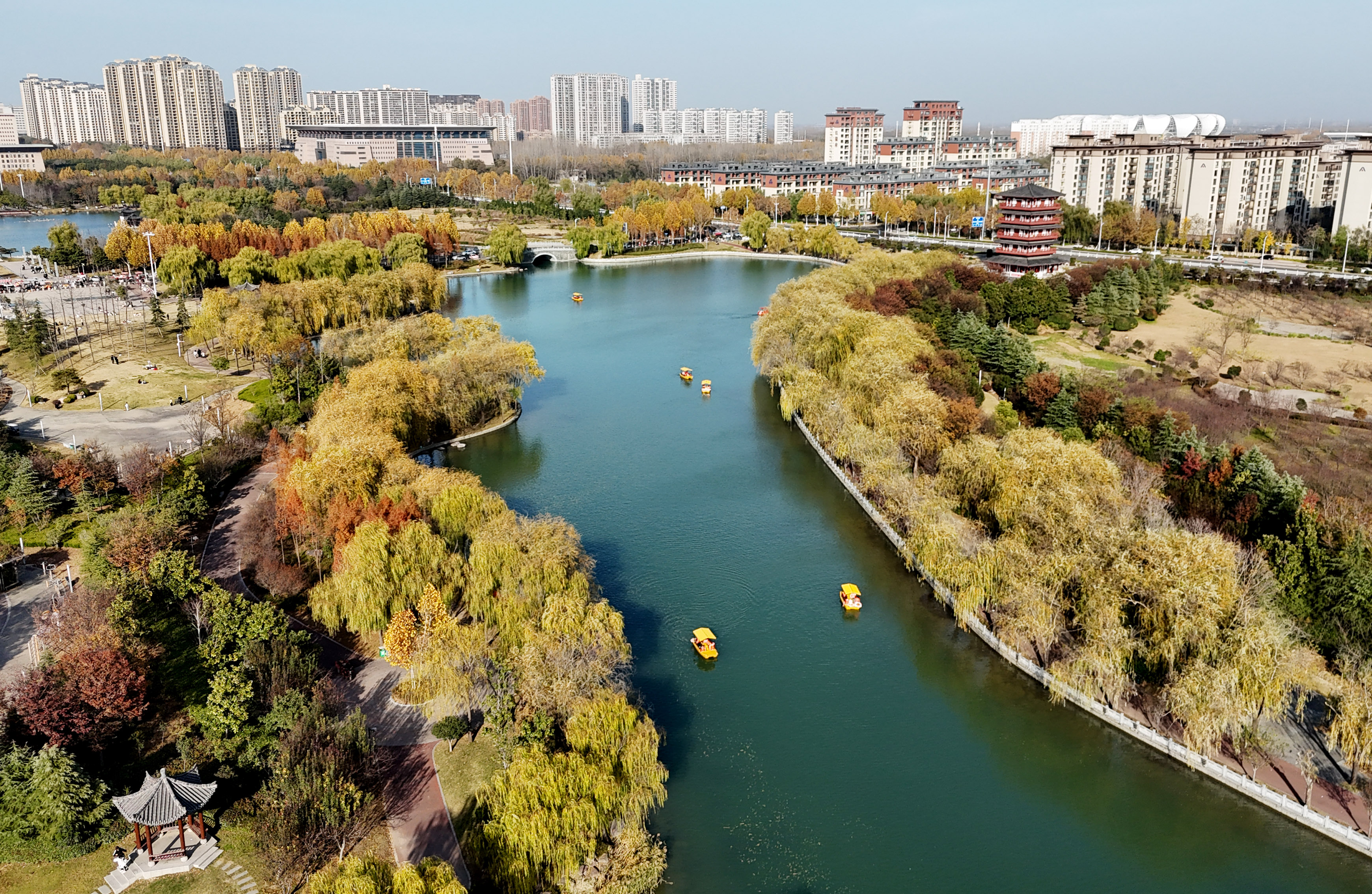 色彩斑斓的北海公园水生态之美。（11月23日摄）