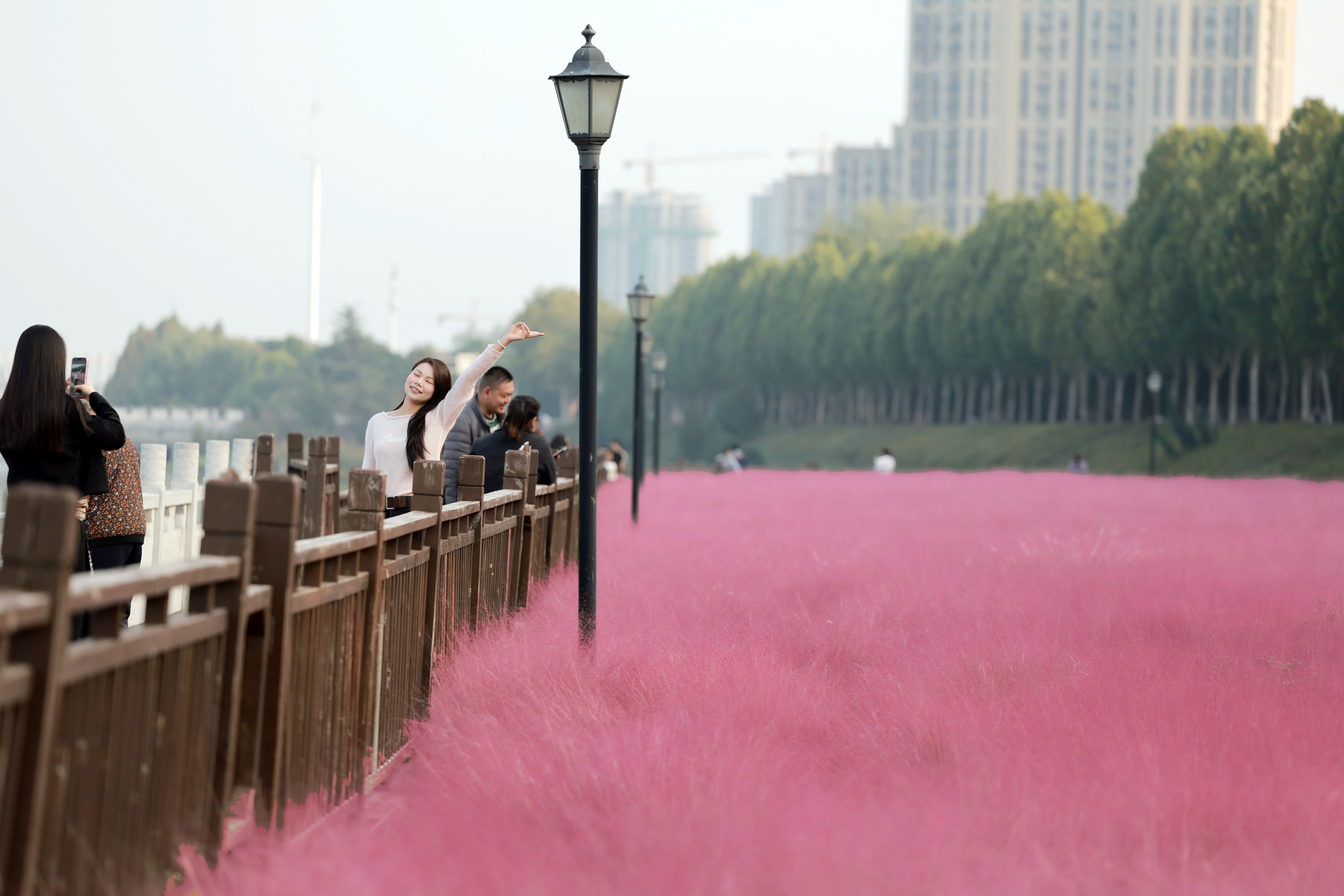 市民拍照打卡，陶醉其中。