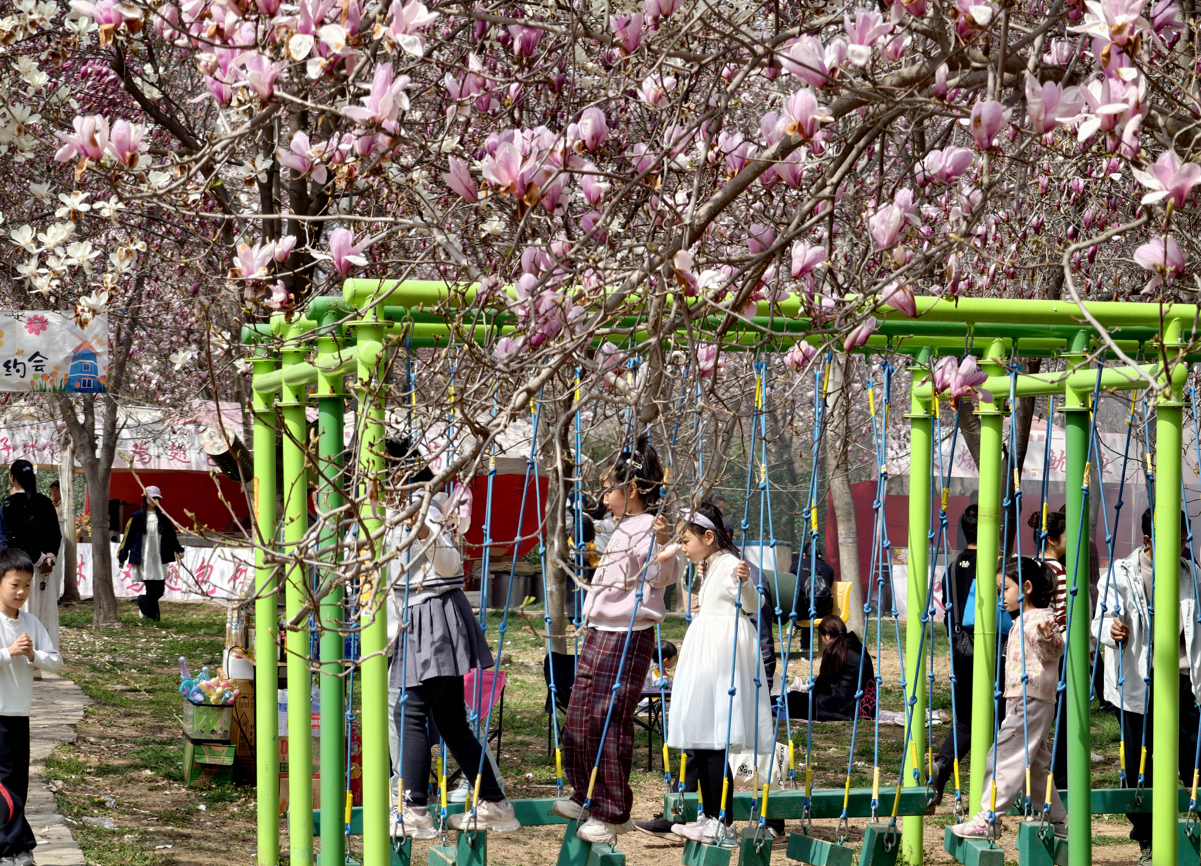 3月22日，游客赏景游玩。