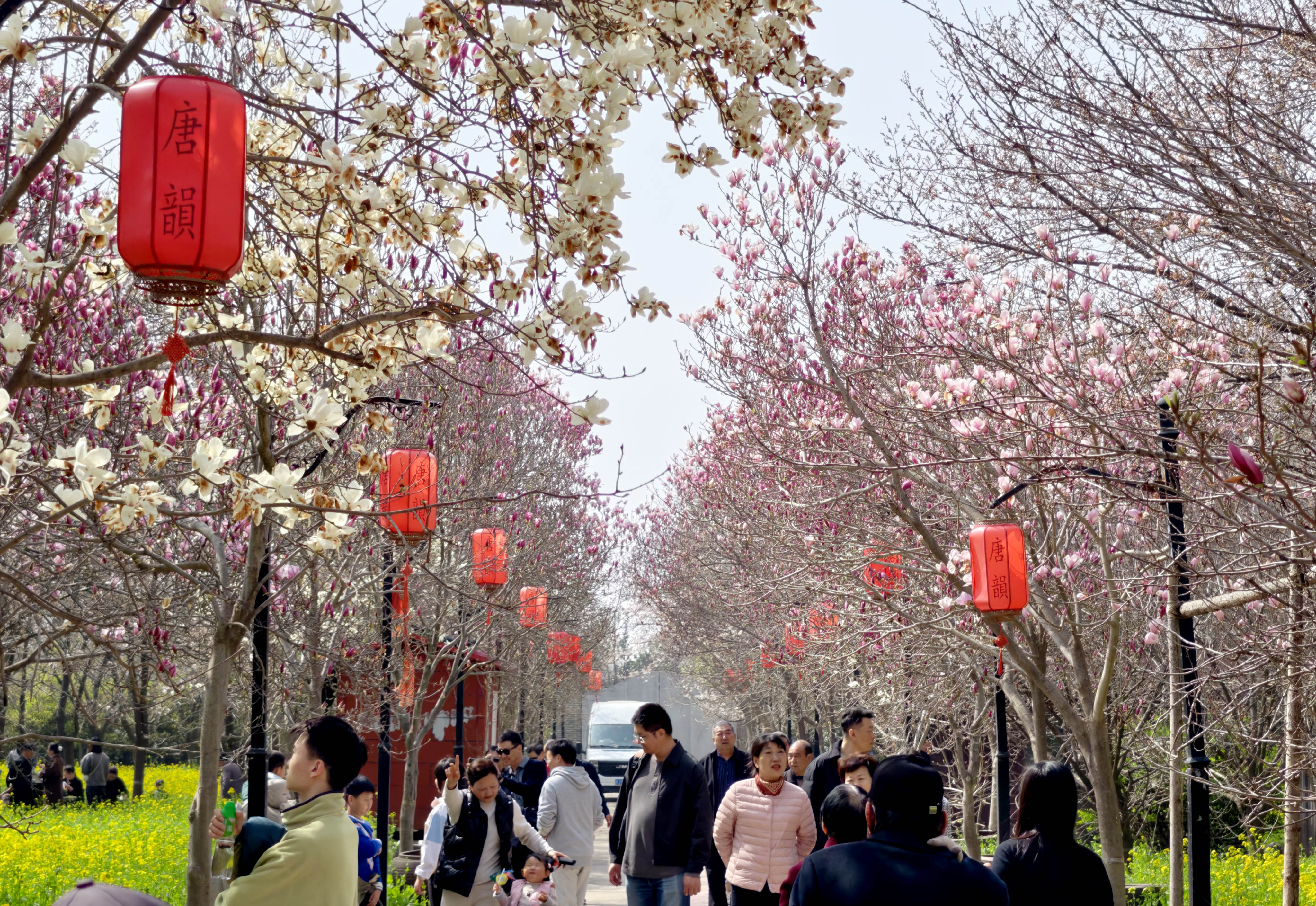 3月22日，游客赏景游玩。