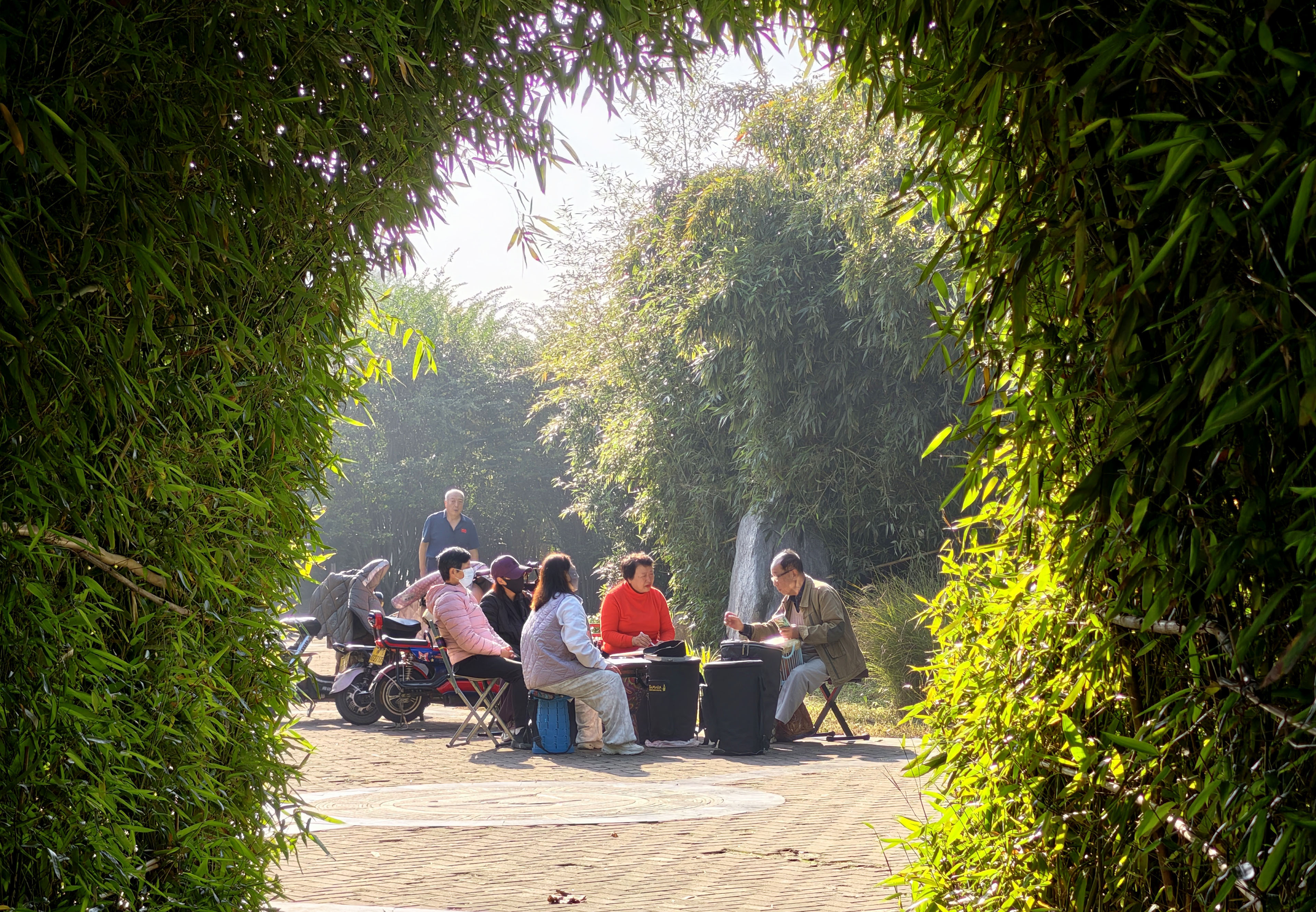 11月14日,市区清潩河游园,市民开展文娱活动。 11月14日,市区清潩河游园,市民开展文娱活动。