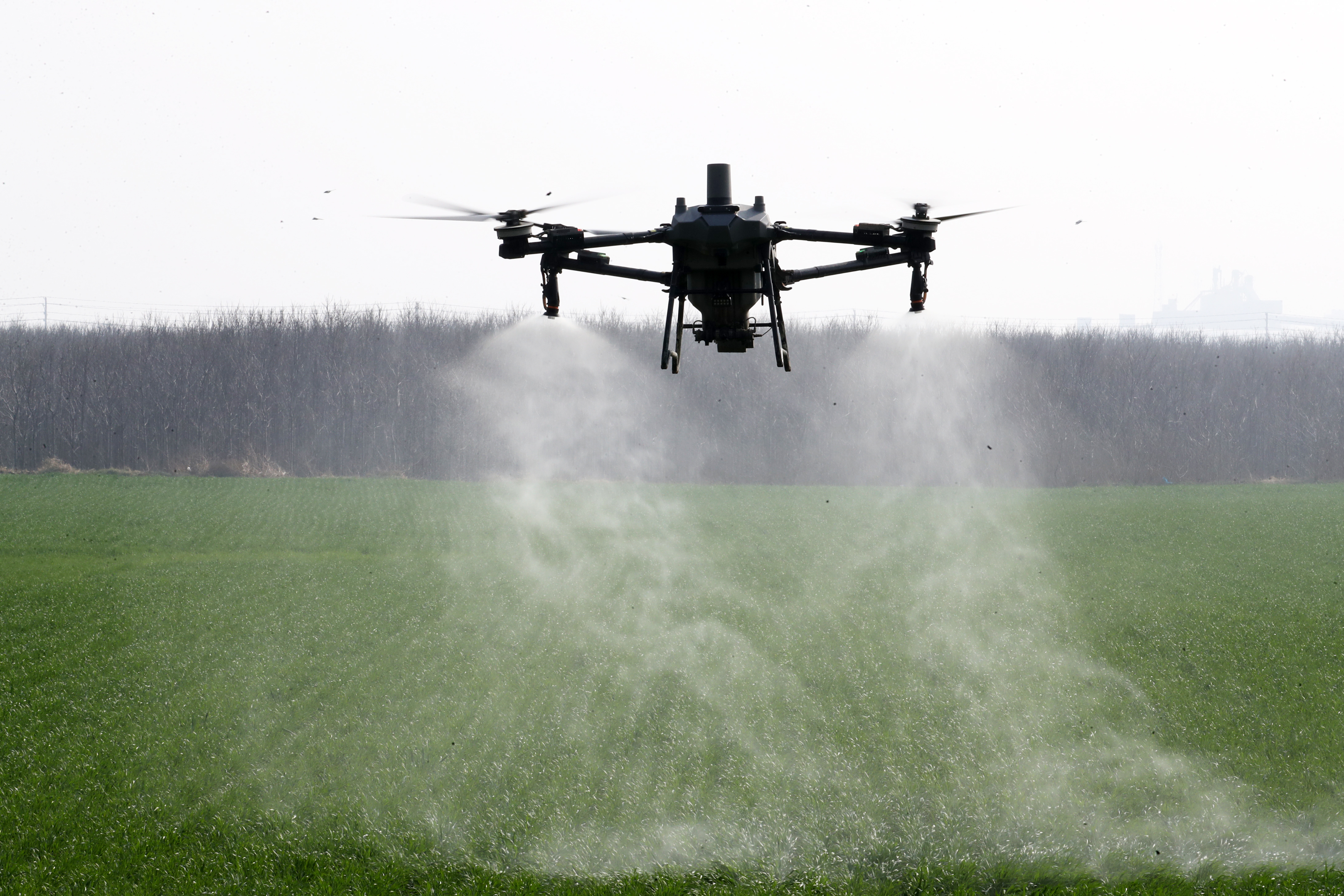 3月10日,无人机在田间作业。 3月10日,无人机在田间作业。