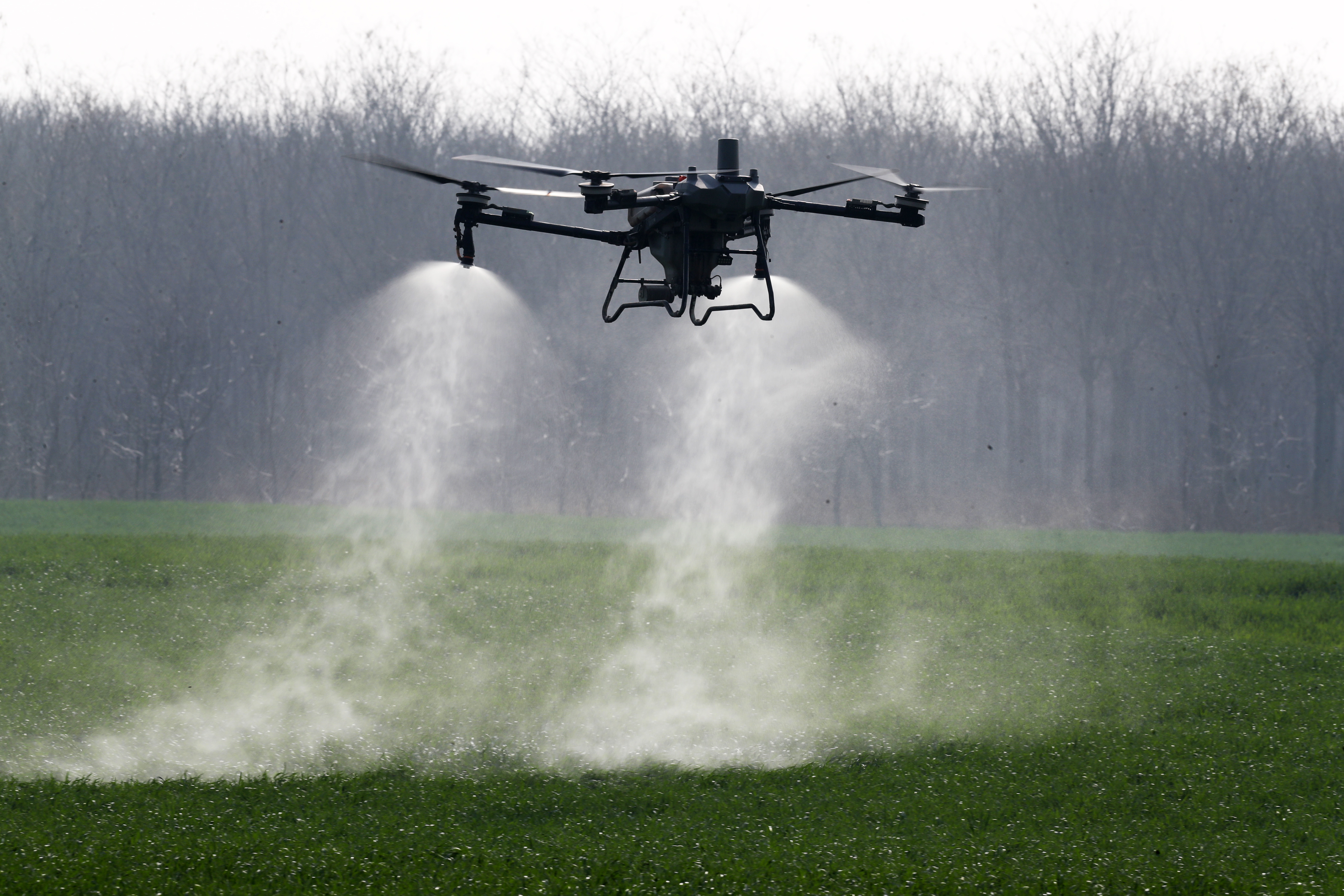 3月10日,无人机在田间作业。 3月10日,无人机在田间作业。