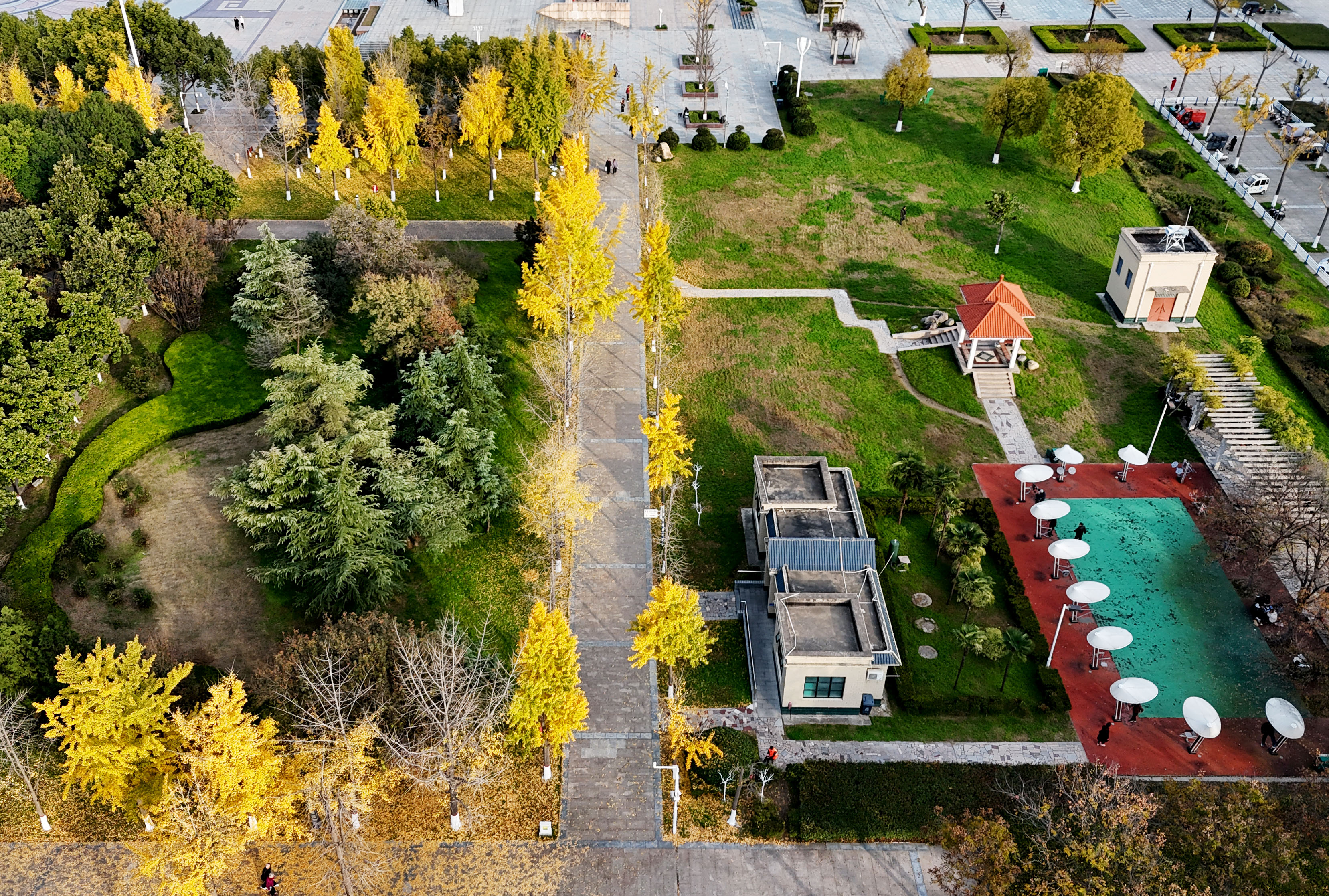 许都公园生态空间。(11月14日摄) 许都公园生态空间。(11月14日摄)