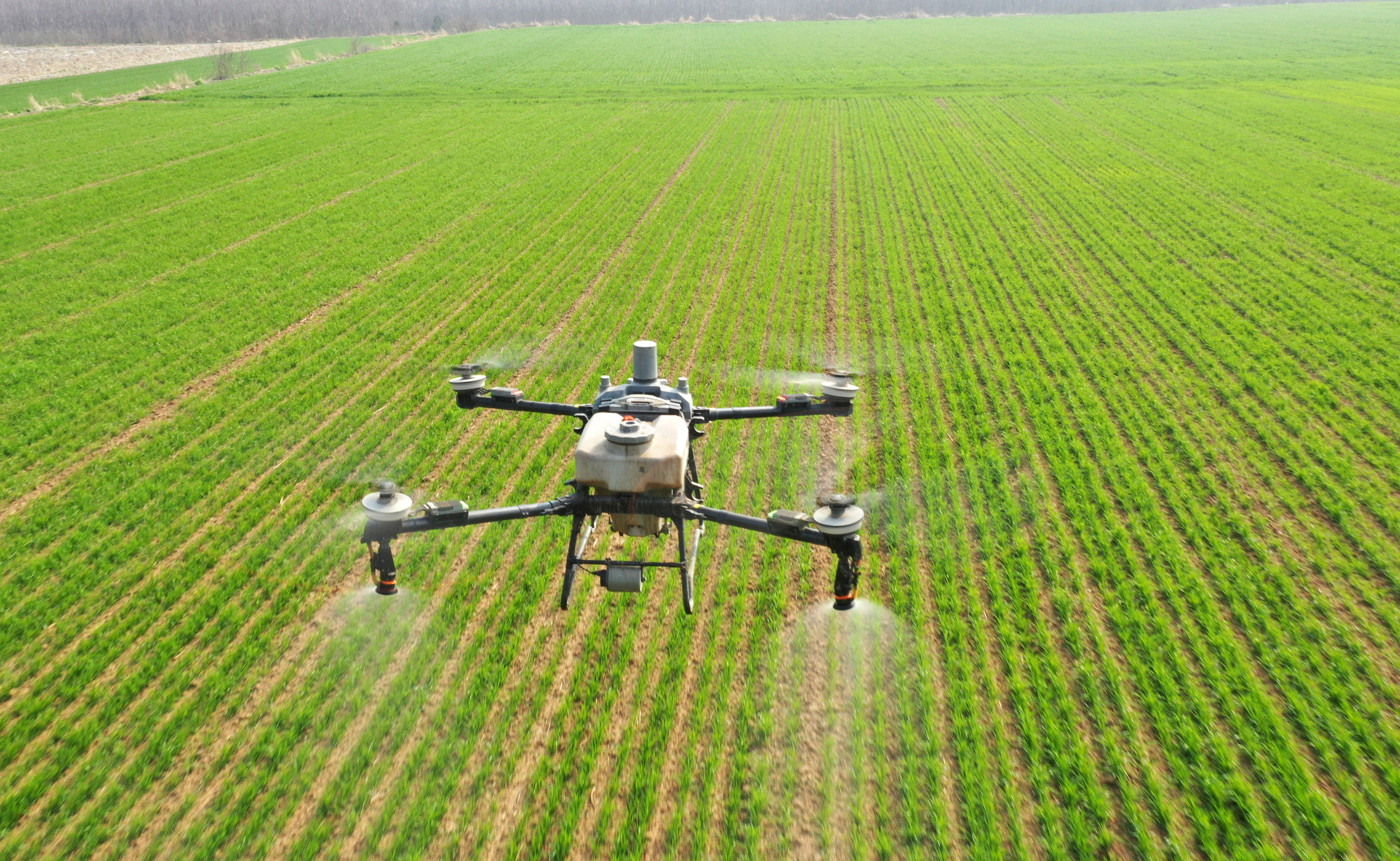 3月10日,无人机在田间作业。 3月10日,无人机在田间作业。