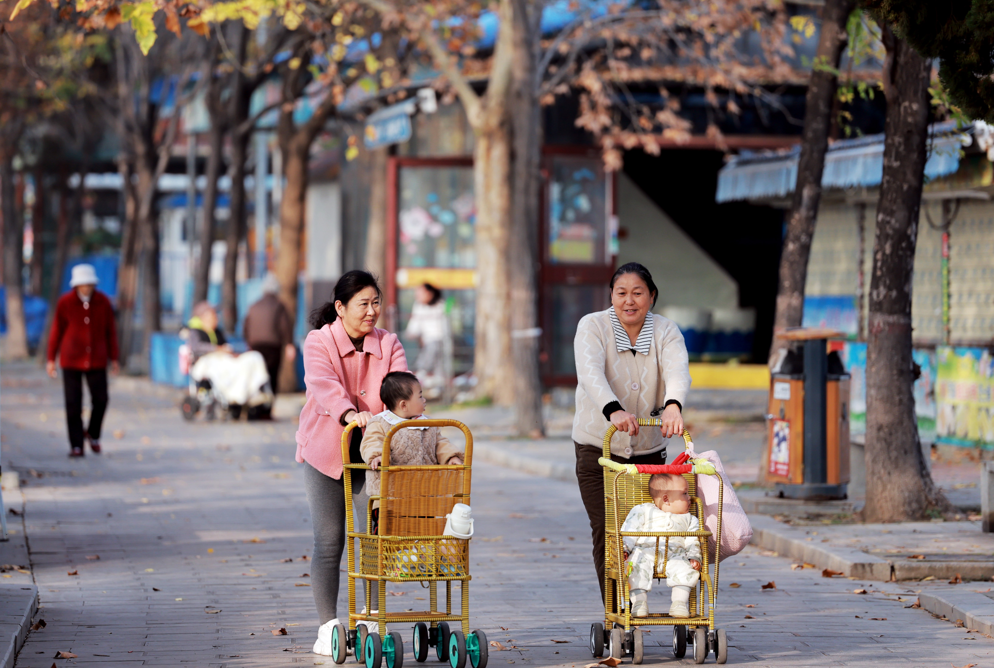 11月13日，市民推着孩子在公园漫步。