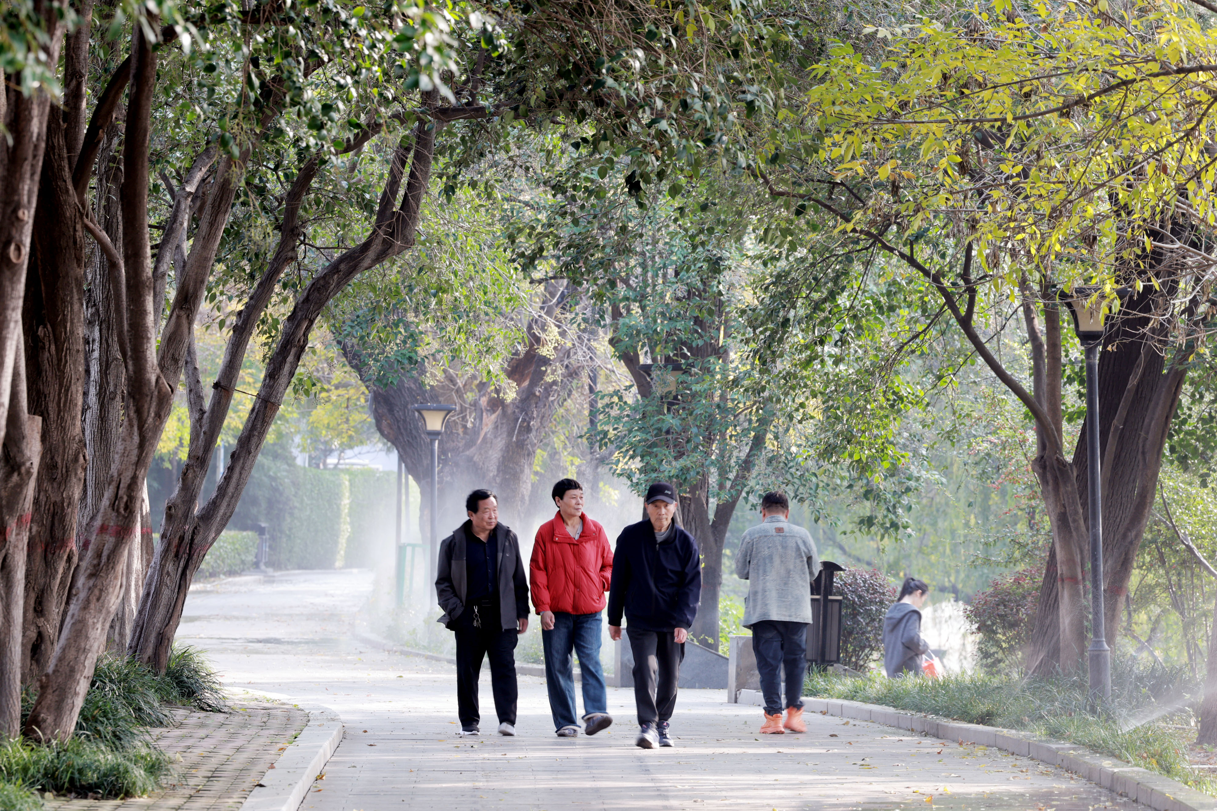 11月13日，市民西湖公园散步。