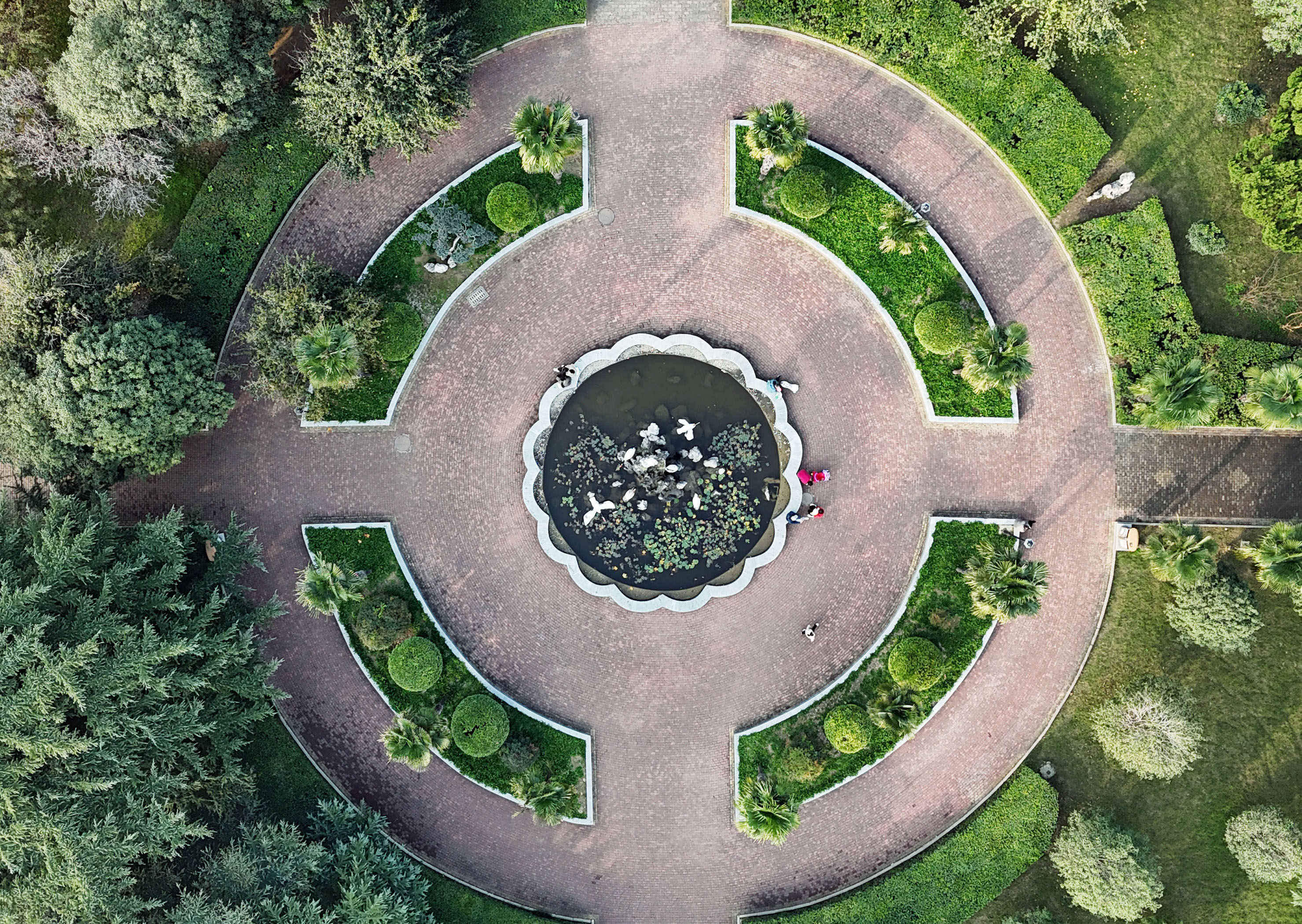 俯瞰市区西湖公园同心圆喷水池景观节点。(11月14日摄) 俯瞰市区西湖公园同心圆喷水池景观节点。(11月14日摄)