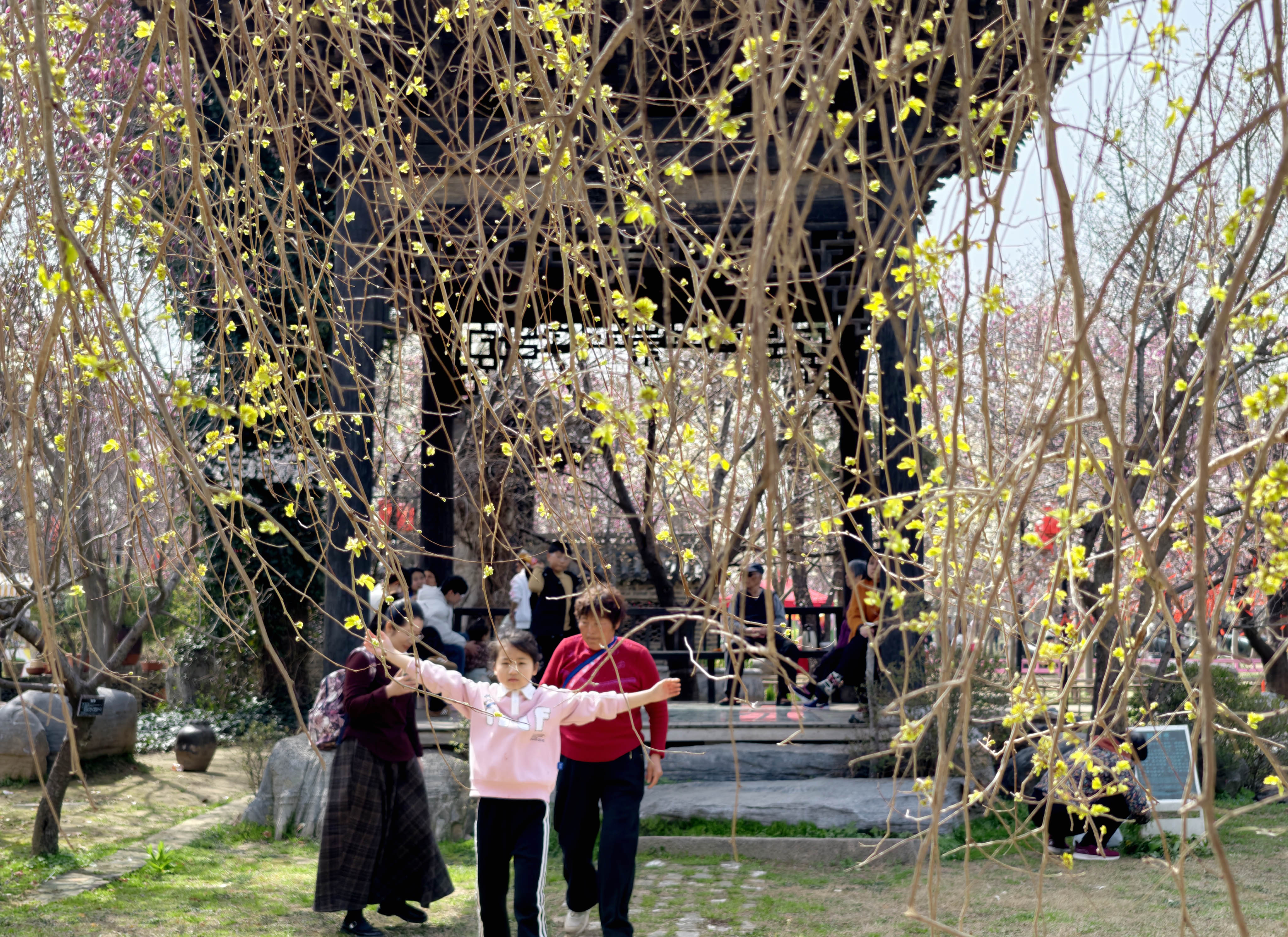 3月22日，游客赏景游玩。