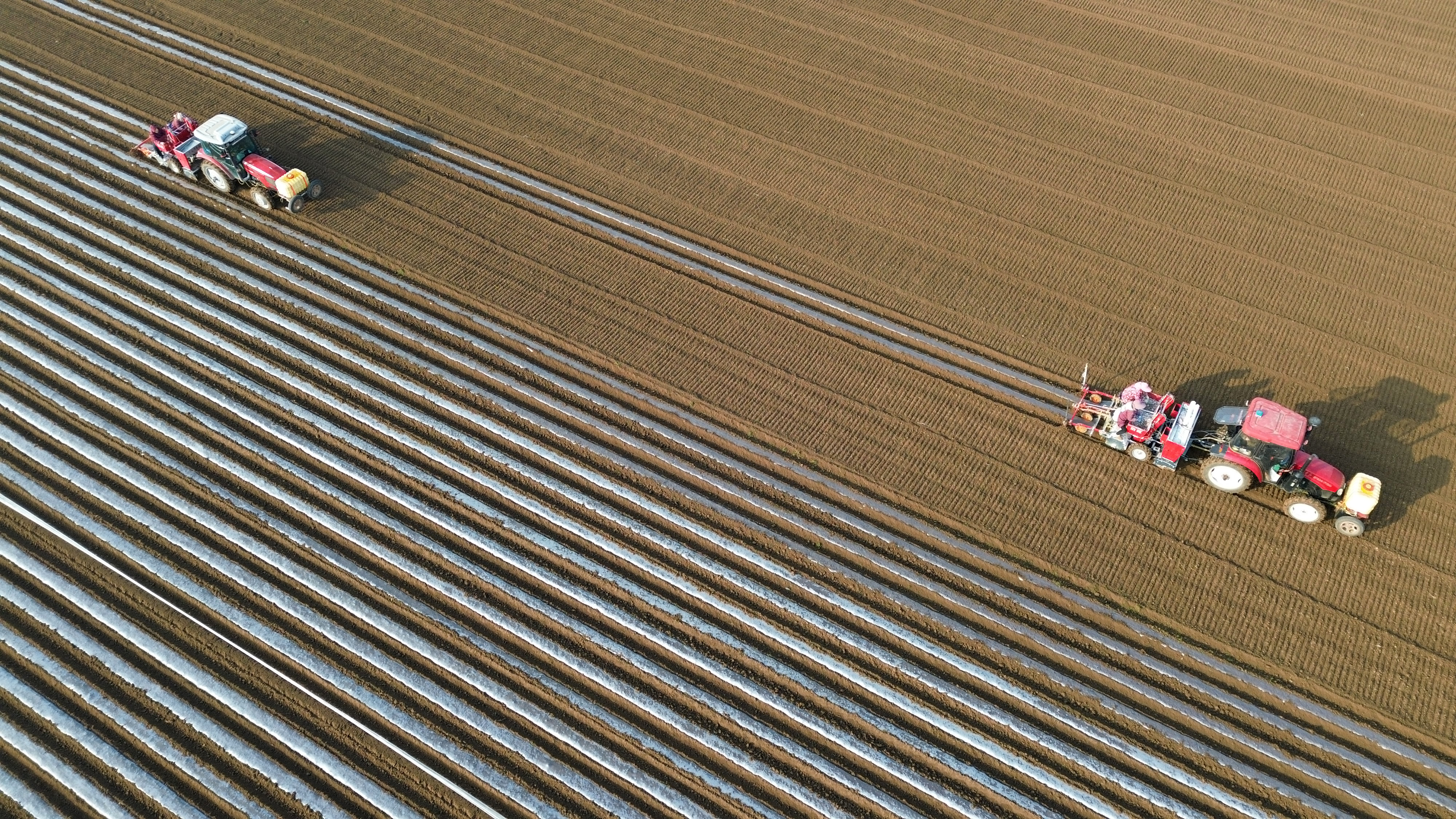 1月16日，鄢陵县马坊镇马坊集村村民操作机械设备播种马铃薯（无人机照片）。