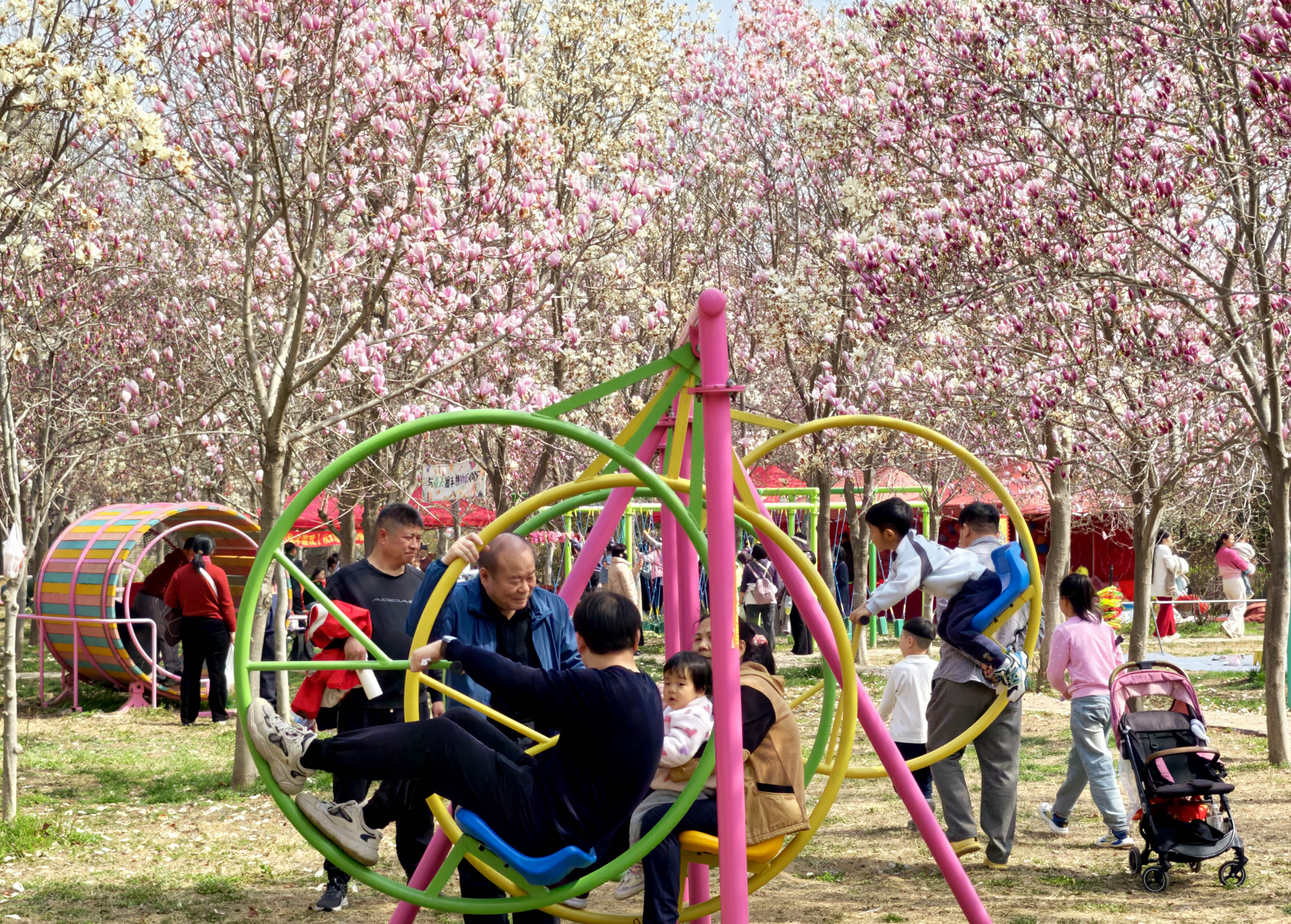 3月22日，游客赏景游玩。