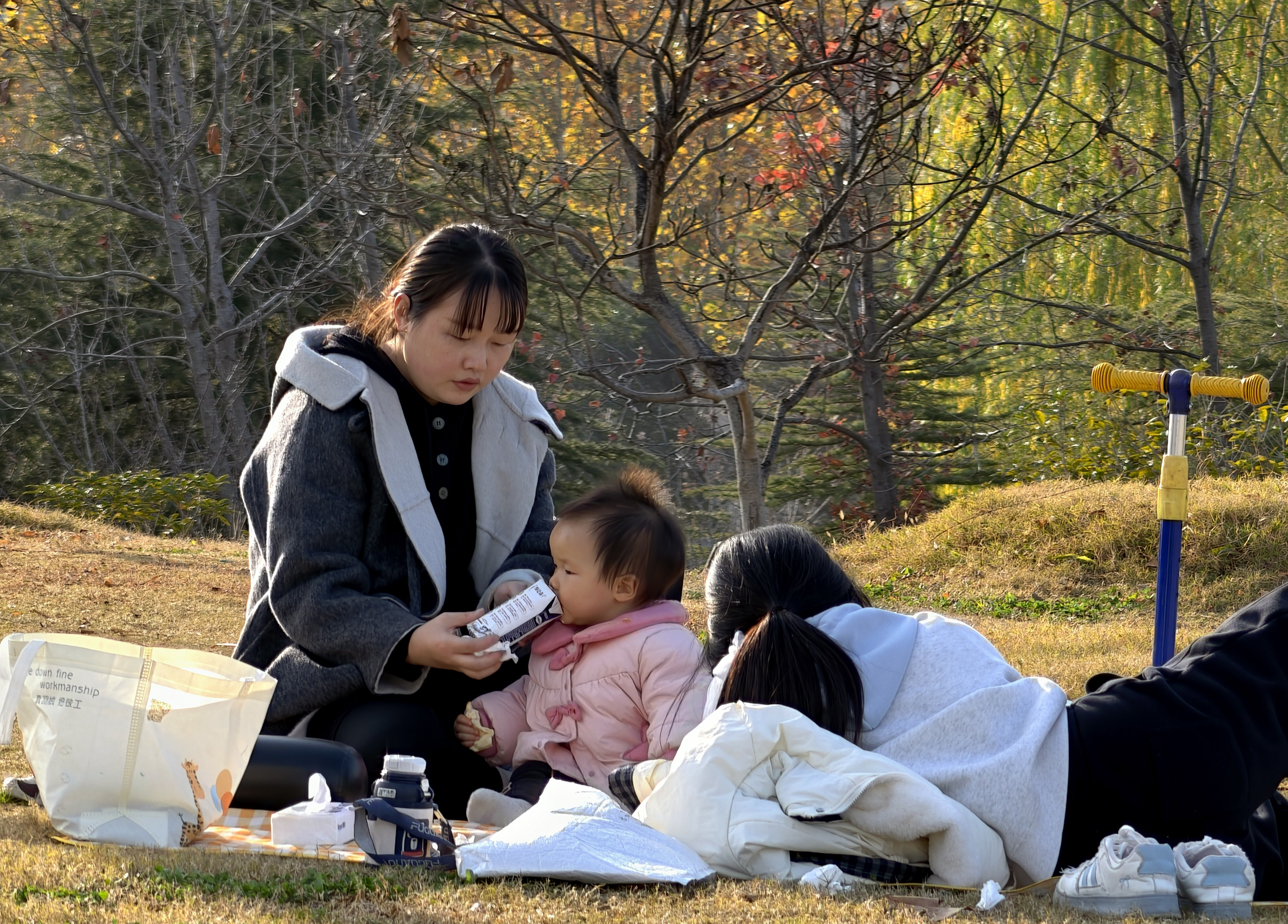 11月23日，市民带孩子在公园绿地休闲游玩。