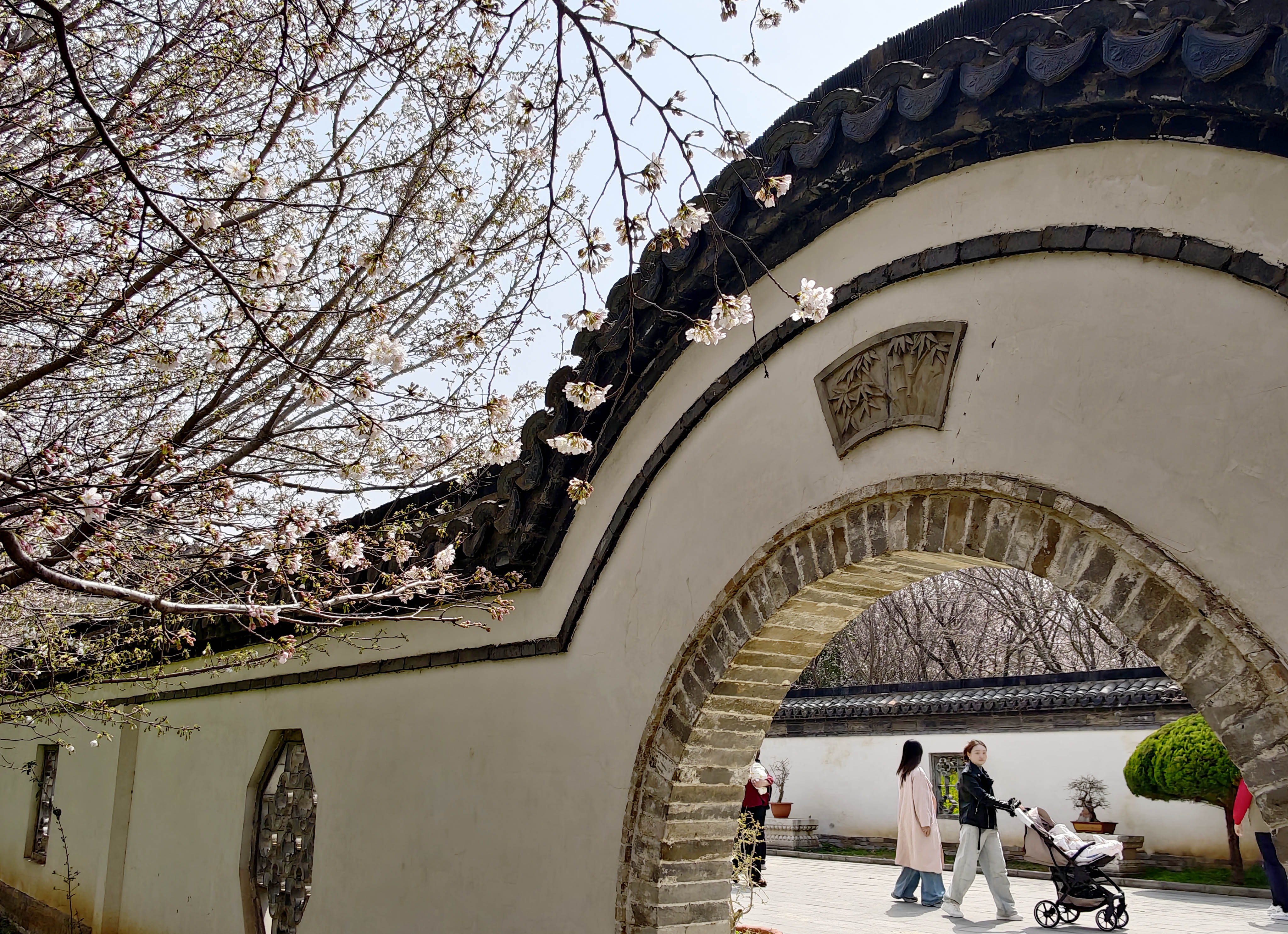 3月22日，游客赏景游玩。