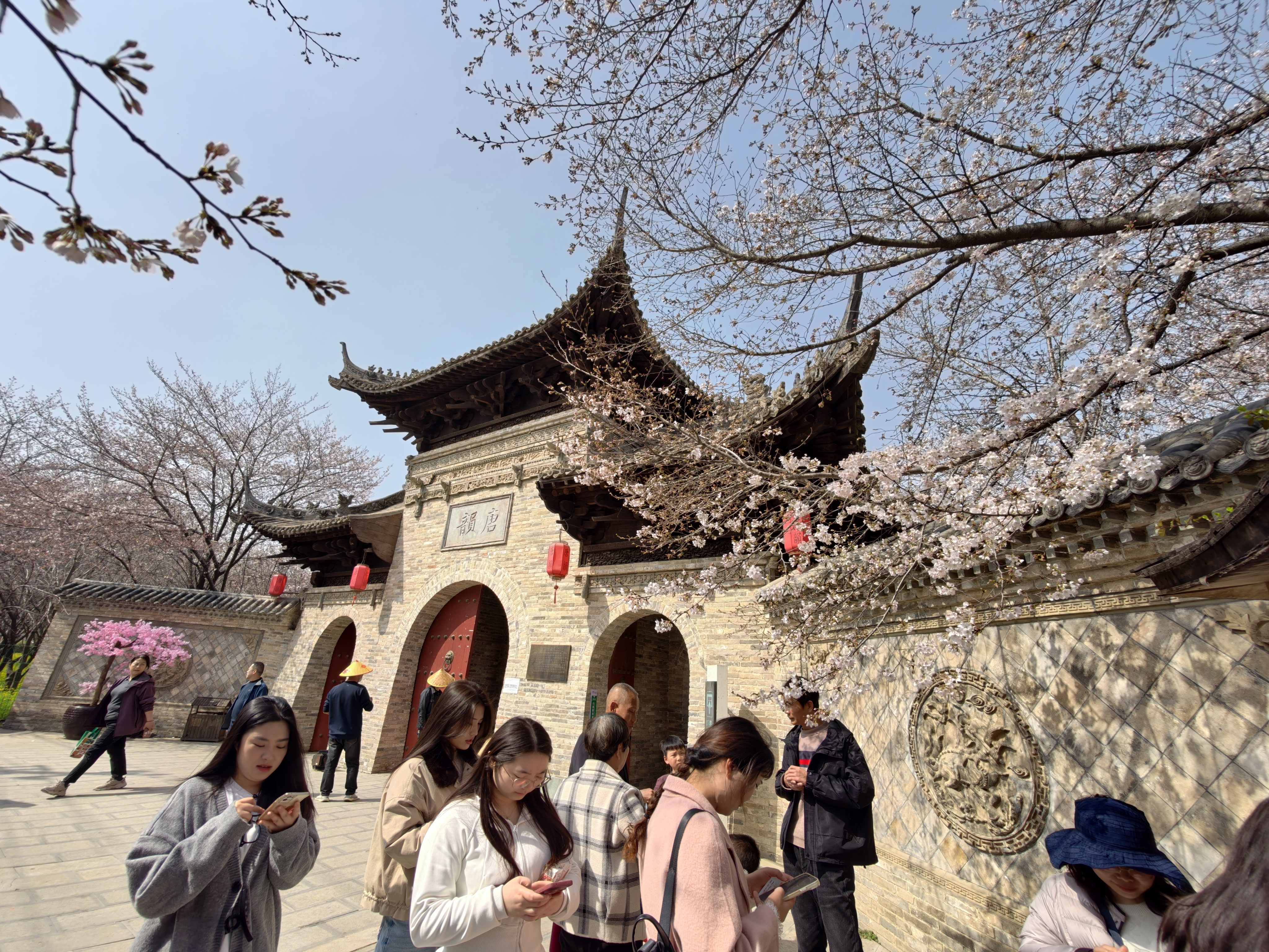 3月22日，游客打卡唐韵园林。