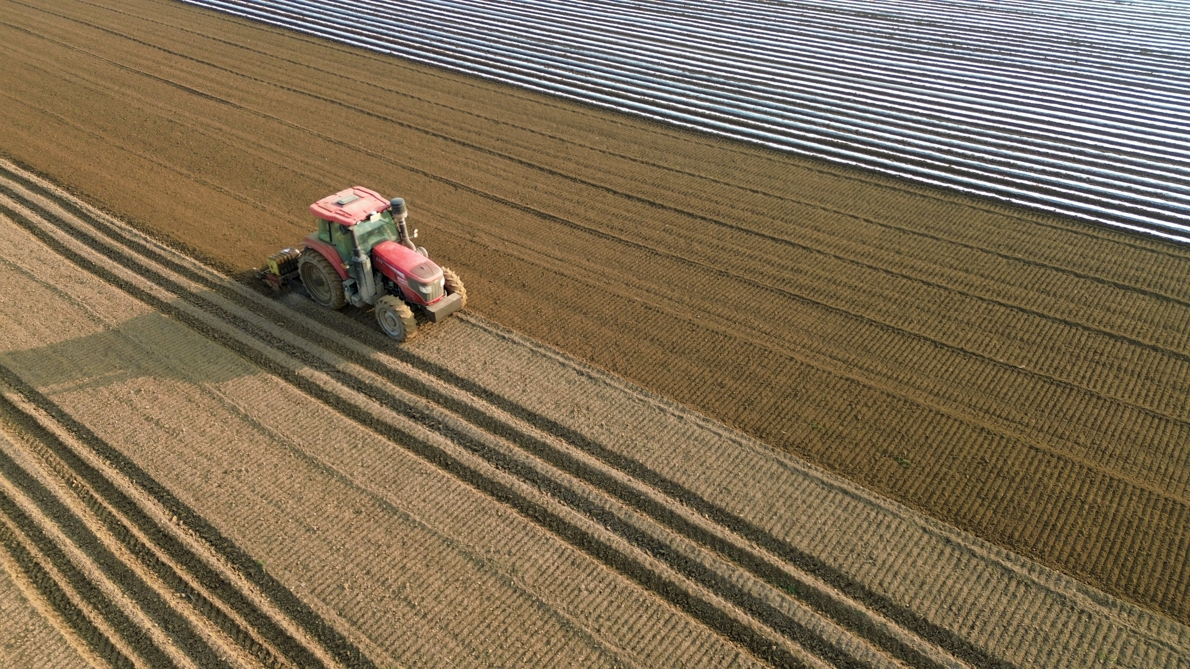 1月16日，鄢陵县马坊镇马坊集村村民操作机械设备播种马铃薯（无人机照片）。